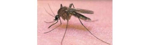 na komary i kleszcze
